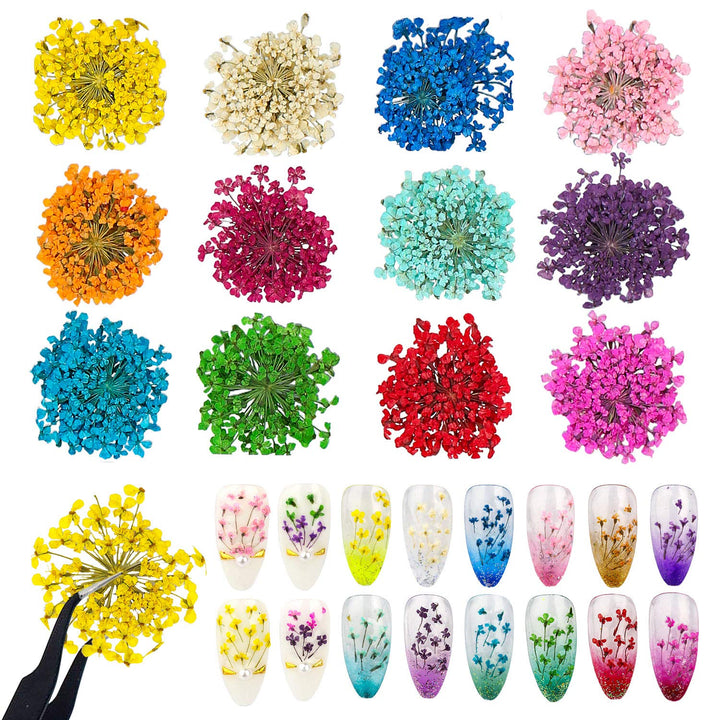 Dried Flowers for Nails 120pcs/set 3D Real Encapsulated Nail Pressed Flowers for Nail Art & Resin Craft DIY - Gypsophila, Five Petals Flowers, Leaves, Hydrangea Macrophylla (Pattern A)