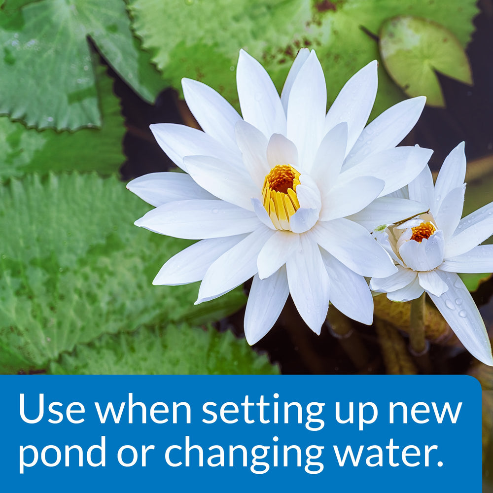 POND CHLORINE & HEAVY METAL NEUTRALIZER Pond Water Neutralizer 32-Ounce Bottle