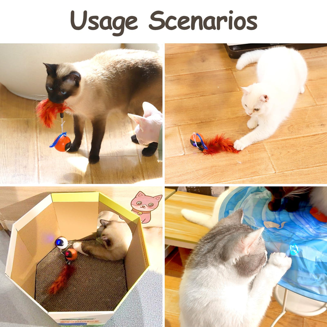Interactive Cat Ball Toy Set, Fun Tracker, Automatic Rolling Chase Ball with Fluffy Tail, A Small Mice, Rechargeable(White)