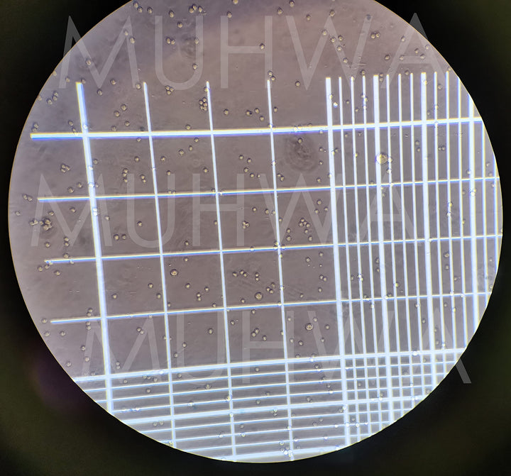 Hemocytometer Neubauer Improved Blood Counting Chamber Cell Counting Chamber with Bright Line with 2 pcs Coverslips