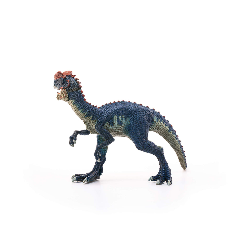 Dinosaurs, Jurassic Era velociraptor Dinosaur Toys for Boys and Girls, Dilophosaurus Toy Figure, Ages 4+