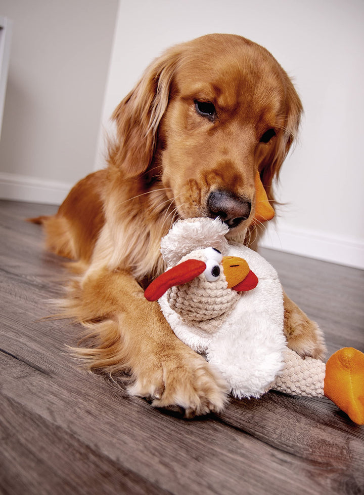 Checkers Fat Rooster Squeaky Plush Dog Toy, Chew Guard Technology - White, Large