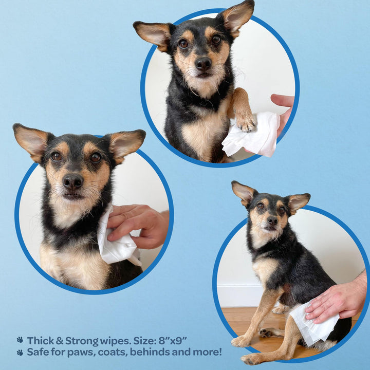 Pet Wipes for Dogs - Dog Wipes Cleaning Deodorizing, for Coats, Ears, Paws - Calming Lavender, Aloe Vera, 100 Count