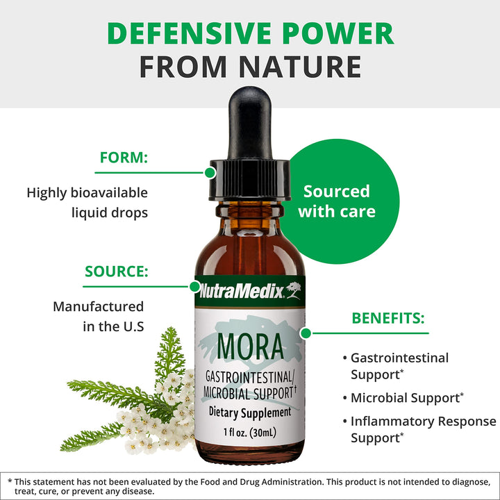 Mora Yarrow Extract - Yarrow Herb, BlackBerry Leaves and Capirona Bark Extract for Digestive Health, Gut Support & Healthy Inflammatory Response (1oz / 30ml)