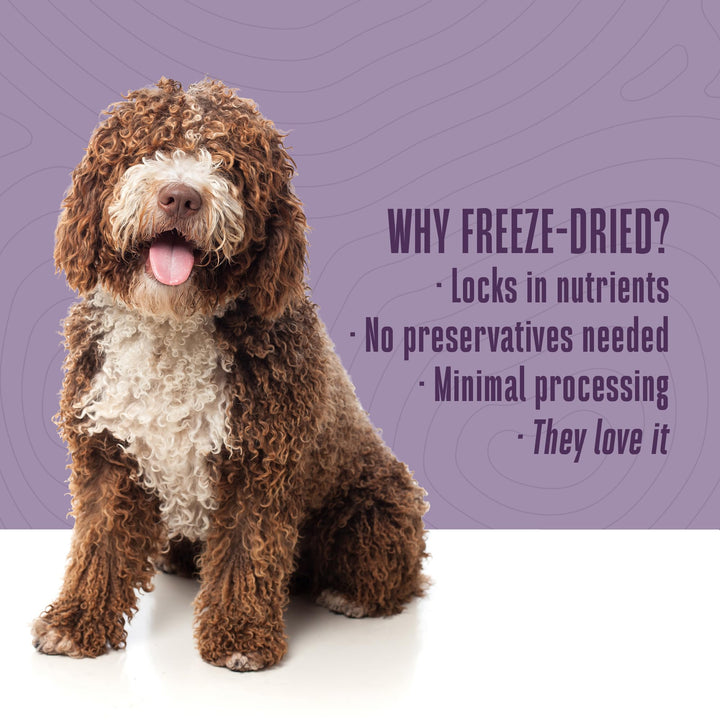 Whole Life Dog Just One Chicken Freeze Dried Dog Treats - Human Grade High Protein Food, Healthy Training Snacks, Freeze Dried Food Toppers, USA Made Natural Treats - 10 oz (Value Pack of 1)