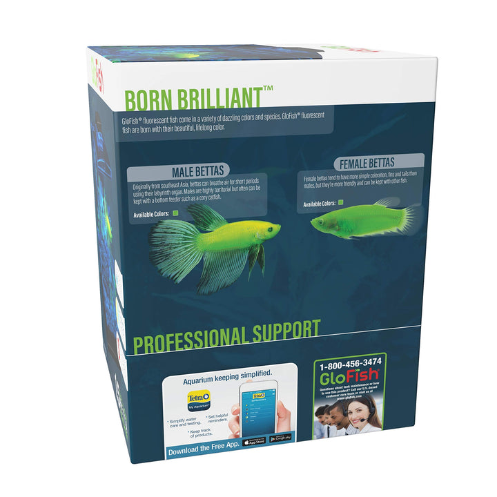 Betta Aquarium Kit 1.5 Gallons, Easy Setup and Maintenance, Perfect Starter Tank,Black/Clear
