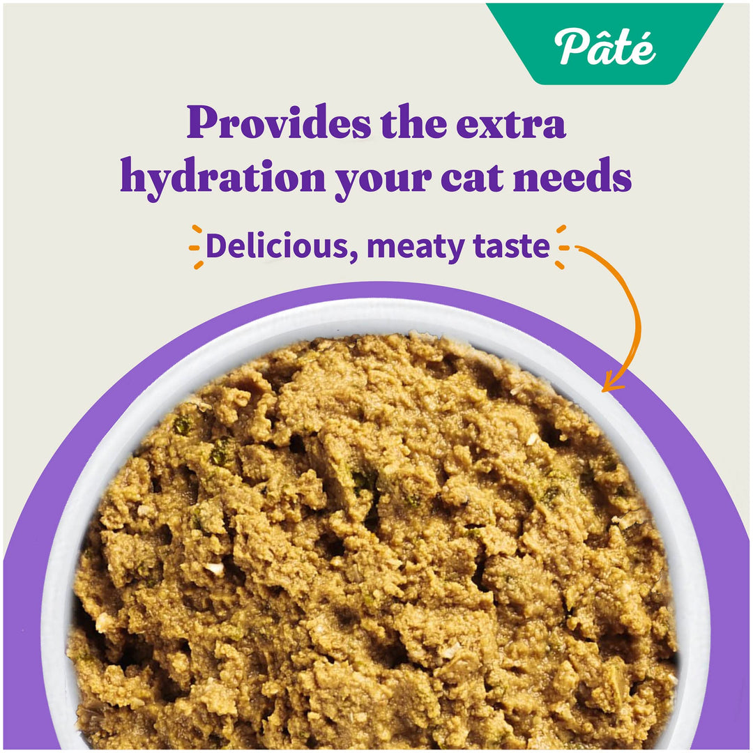 Wet Cat Food Whitefish Recipe, Grain Free Wet Cat Pate, Canned Cat Food for Extra Hydration, 5.5 Oz Can (Pack of 12)