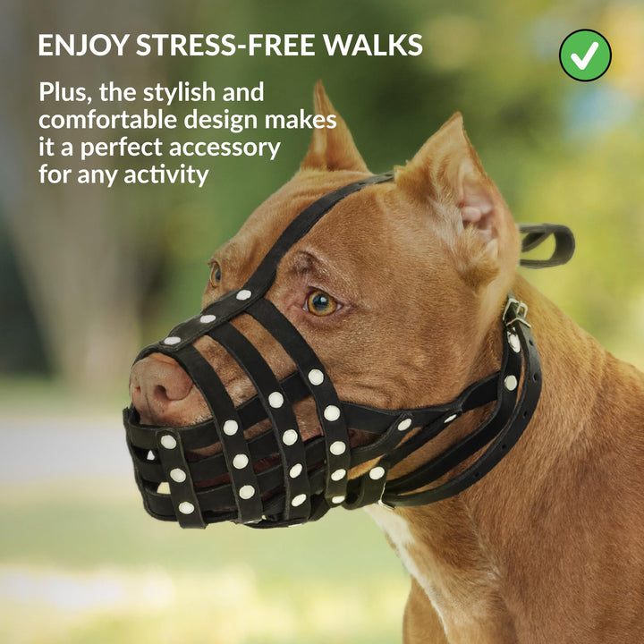Pitbull Dog Muzzle Leather Amstaff Muzzles Staffordshire Terrier Secure Basket (Black)…