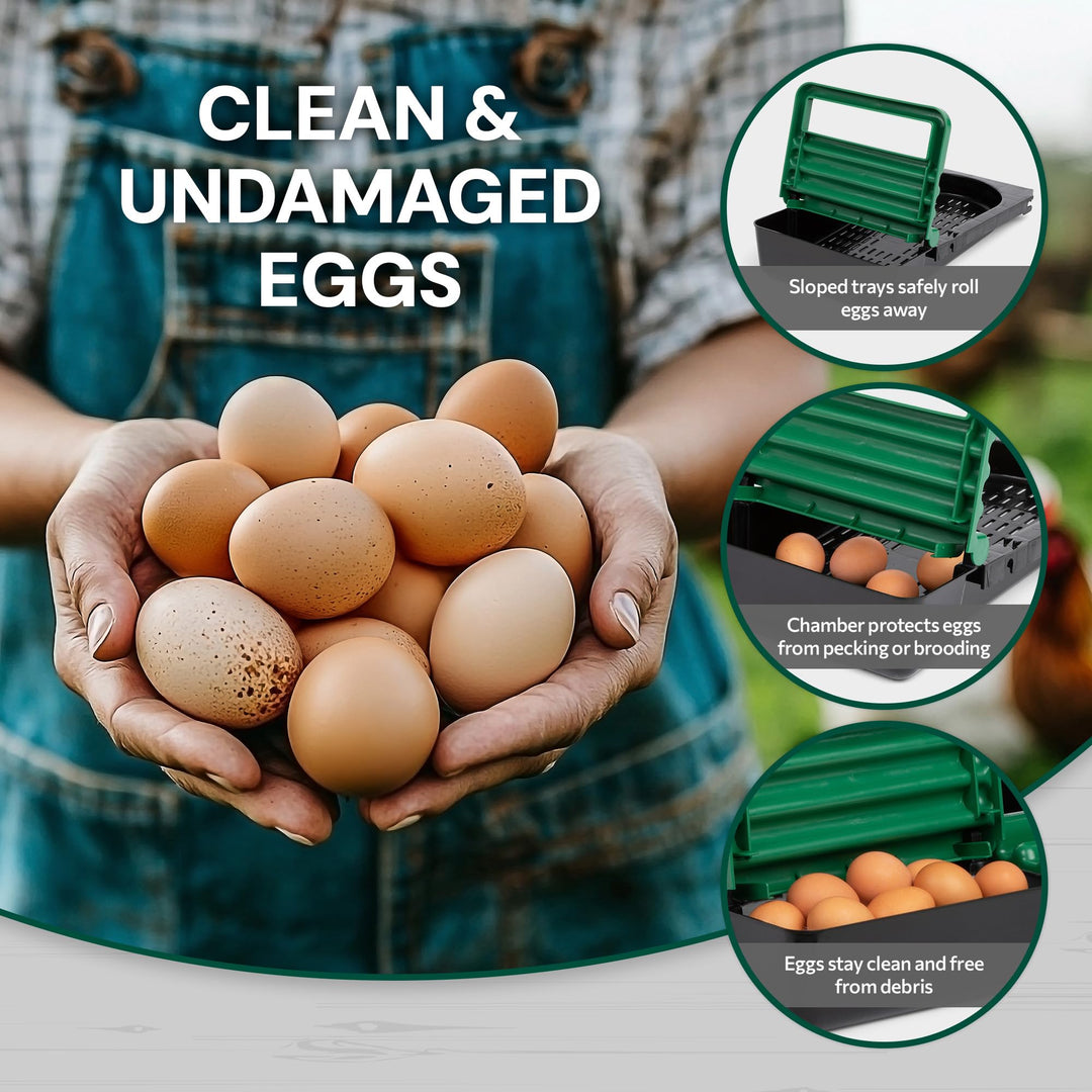 3 Compartment, Forward Rollout & Rollaway, Hen & Chicken Nesting Box with Integrated Perch and Protective Egg Laying Collection Lids