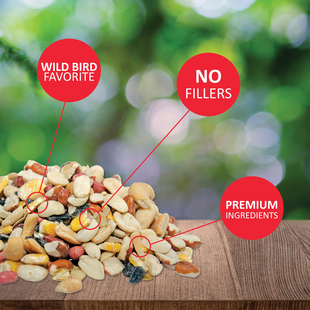 Fruit and Nut Wild Bird Seed - High Energy Wild Bird Food Mix - Attracts Woodpeckers, Chickadees & Other Songbirds - 20 lb bag