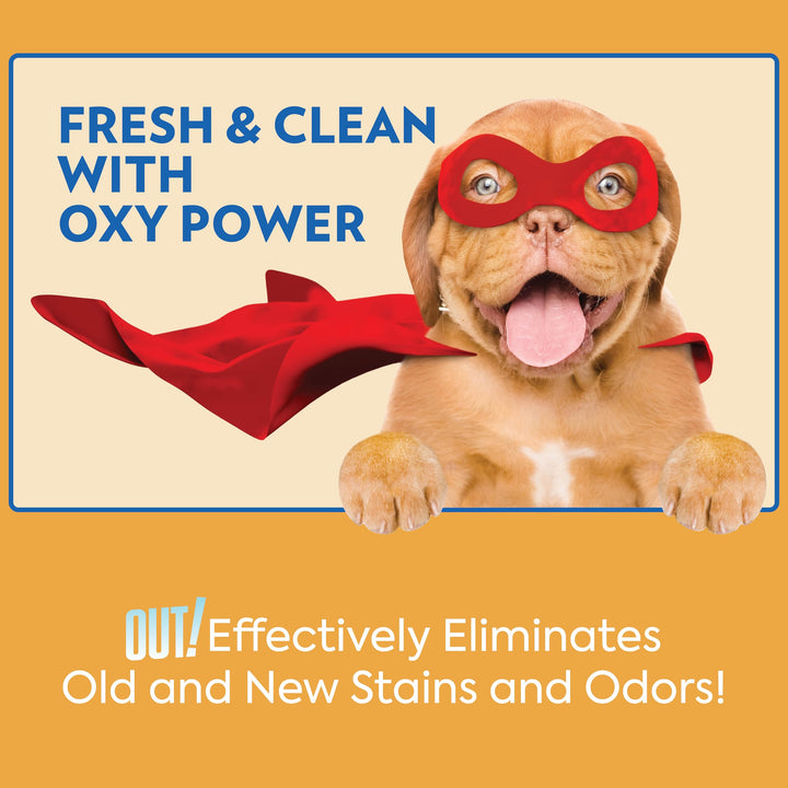 PetCare Complete Oxy Stain Remover, Oxy Orange Spray, Pet Stain and Odor Eliminator, Carpet Cleaner, Urine Remover and Odor Neutralizer, Upholstery Cleaner, 32 fl oz