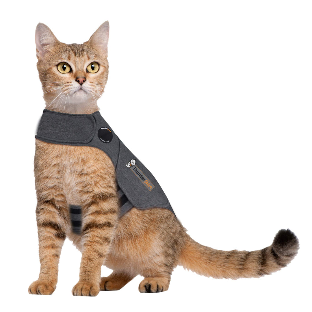 Classic Cat Anxiety Jacket, Heather Gray, Medium (9 to 13 lbs), THU-009