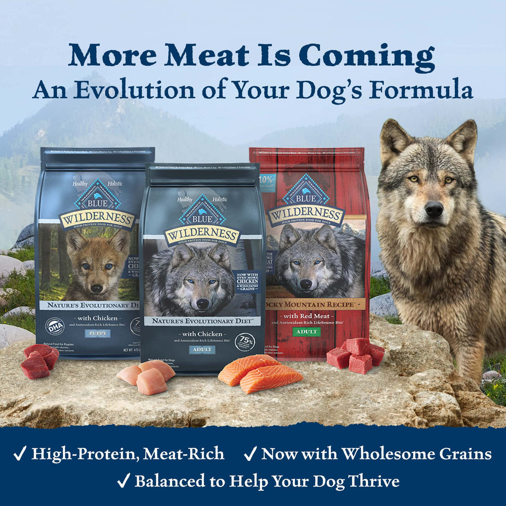 Wilderness High Protein, Natural Puppy Dry Dog Food, Chicken 11-lb