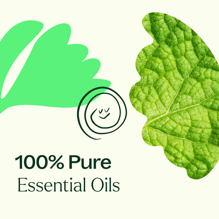 Gut Aid Essential Oil Blend 10 mL (1/3 oz) 100% Pure, Undiluted, Natural Aromatherapy for Upset Stomach Relief