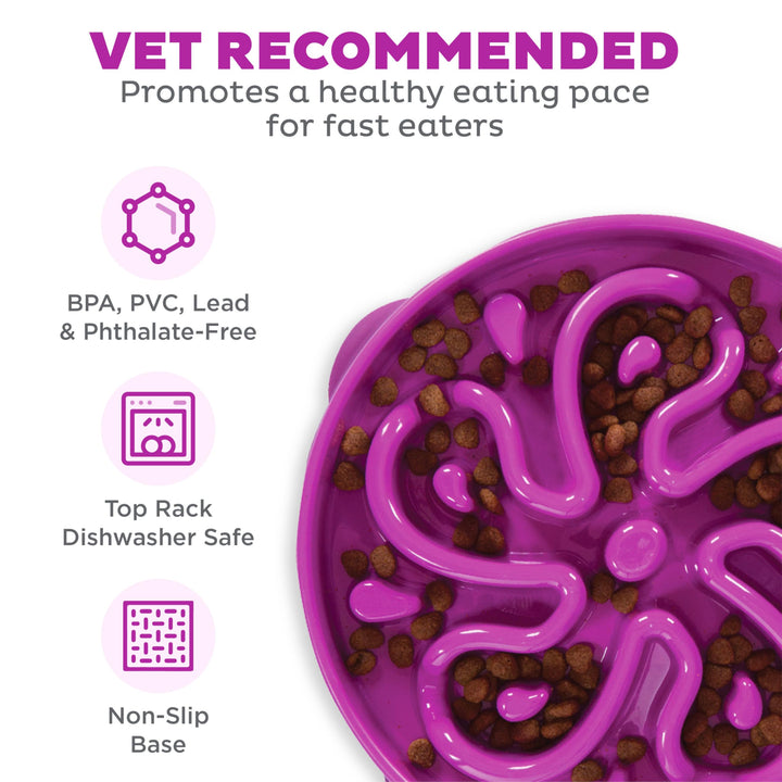 Fun Feeder Slo Bowl, Large Slow Feeder Dog Bowl, 4 Cups, Purple