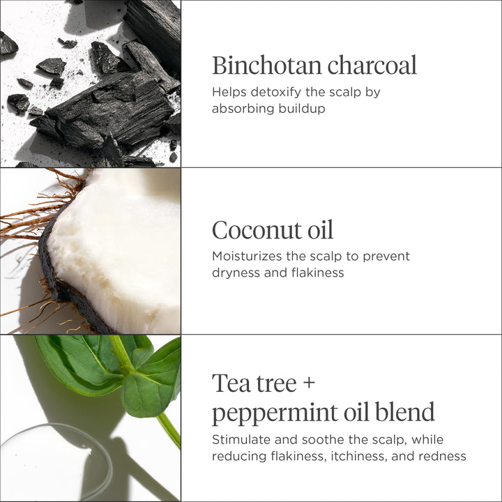 Scalp Revival Charcoal + Coconut Oil Micro-Exfoliating Shampoo, Treatment for Dry & Itchy Scalp, Clarifying Shampoo for Build Up, Scalp Scrub for Oily Scalp, Vegan, Cruelty-Free, 8 fl oz