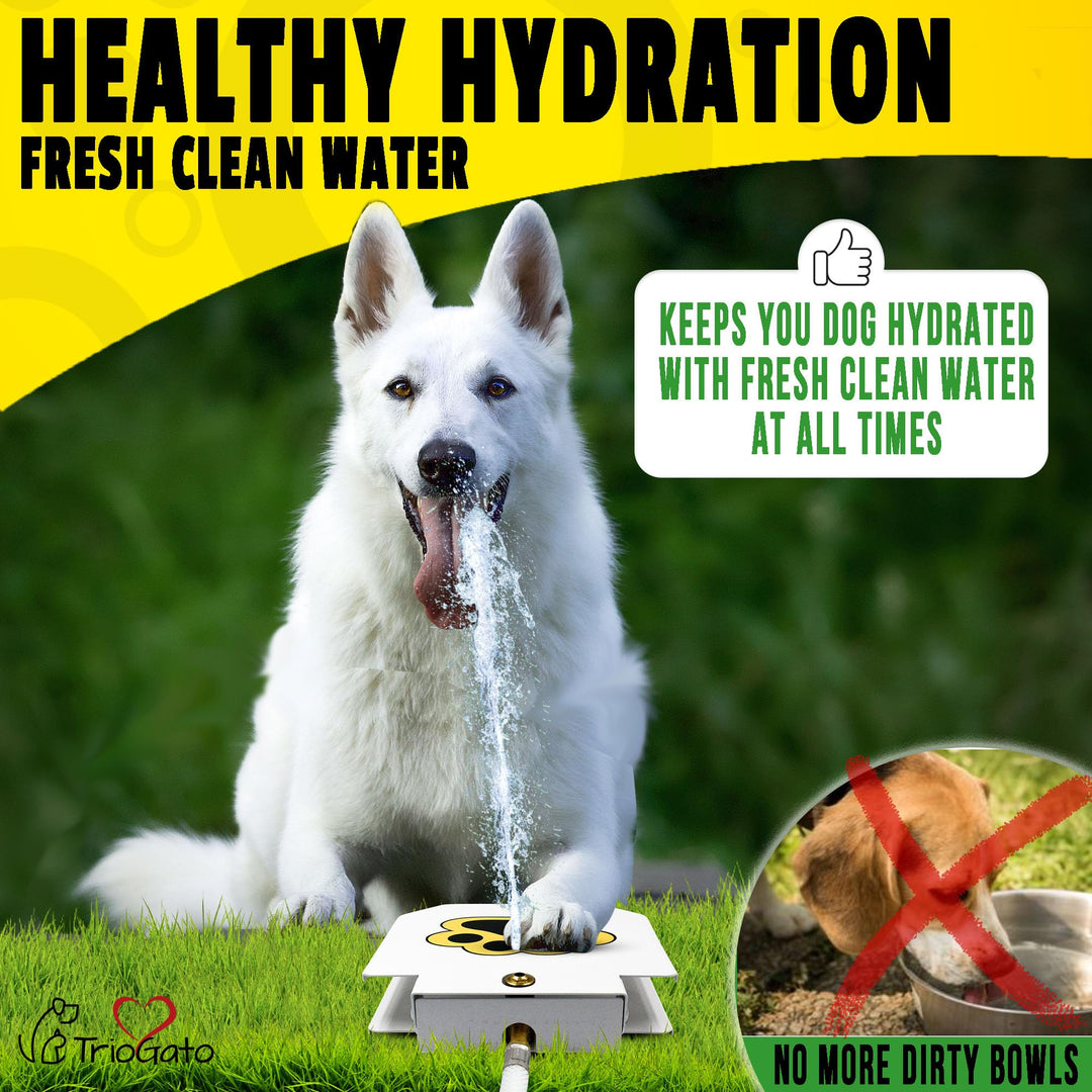 's Outdoor Dog Water Fountain Step On, Dog Sprinkler Paw Activated, Drinking Pet Dispenser, Provides Fresh Water, Sturdy, Easy to Use