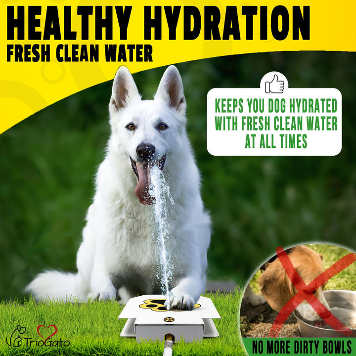's Outdoor Dog Water Fountain Step On, Dog Sprinkler Paw Activated, Drinking Pet Dispenser, Provides Fresh Water, Sturdy, Easy to Use