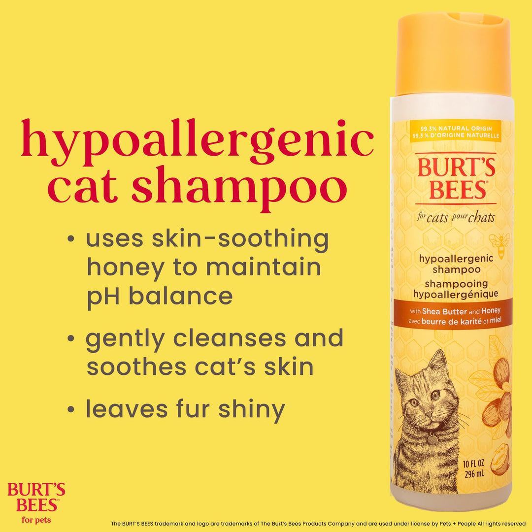 Burt's Bees for Pets Hypoallergenic Shampoo for Cats with Shea Butter and Honey, 99.7% Natural Origin Formulas, Pet Shampoo for Cats, Gentle Cat Shampoo, Cat Shampoo for Itchy Skin, 10 oz