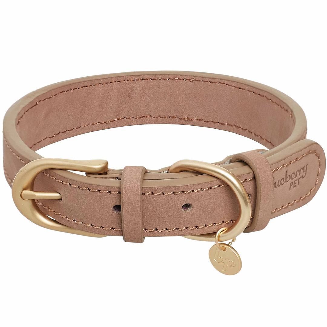 Soft & Comfy Genuine Full Grain Leather Adjustable Dog Collar - Beige, Large, Neck 18-22