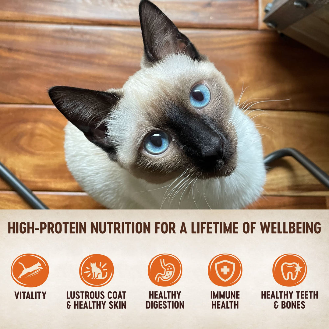 CORE Signature Selects Shredded Adult Wet Cat Food, Natural, Protein-Rich, Grain Free, 5.3 Ounce, 12 Pack (Chicken & Chicken Liver)