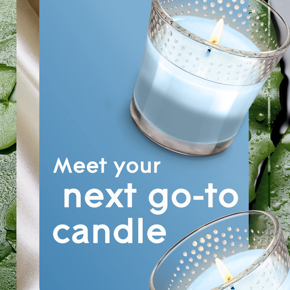 2in1 Jar Candle Air Freshener, Moonlit Walk and Wandering Stream, 2 count, 6.8 Ounce