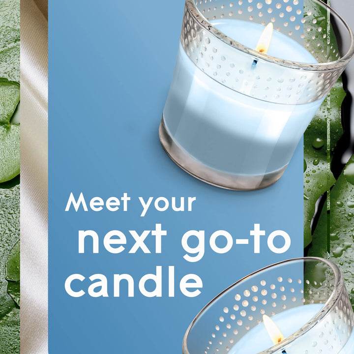 2in1 Jar Candle Air Freshener, Moonlit Walk and Wandering Stream, 2 count, 6.8 Ounce