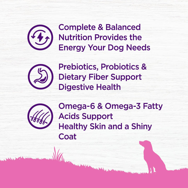 Complete Health Dry Dog Food for Small Dogs, Toy Breed, Wholesome Grains, Natural, Chicken, Brown Rice, & Peas Recipe, 4-Pound Bag)