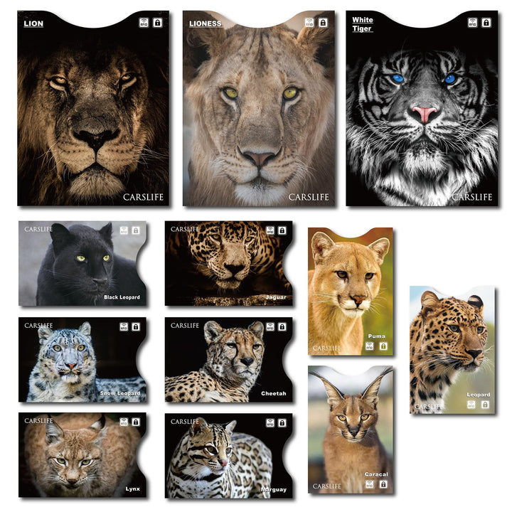 12 RFID Blocking Sleeves (9 Credit Card sleeves & 3 Passport Protectors) Premium Identity Theft Protection Secure Sleeves travel case cat design
