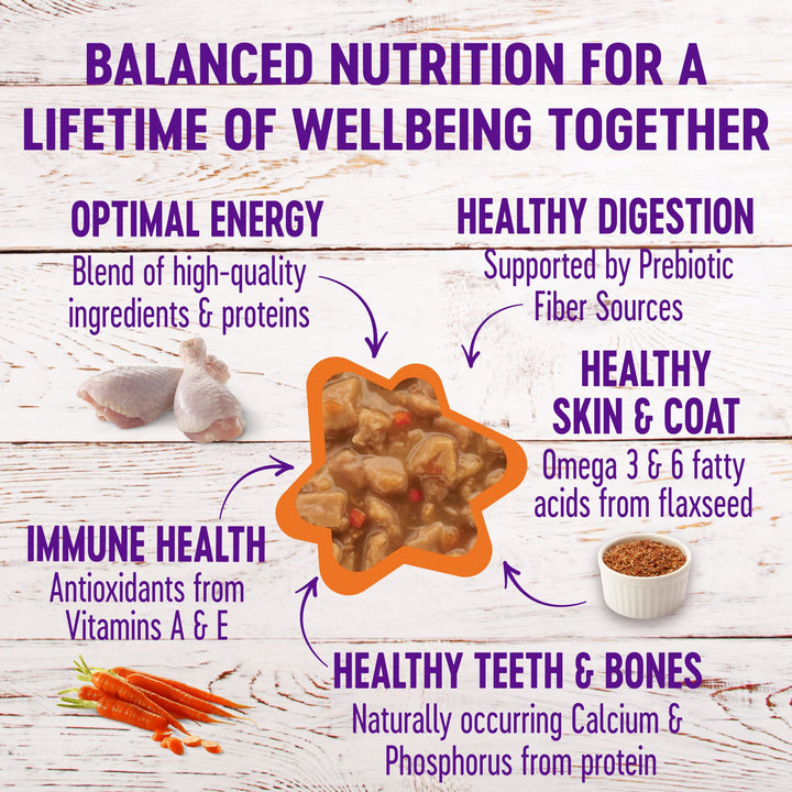 Complete Health Gravy Adult Wet Cat Food, Natural, Protein-Rich, Grain Free, 5.5 Ounce , 12 Pack, (Chicken Dinner)