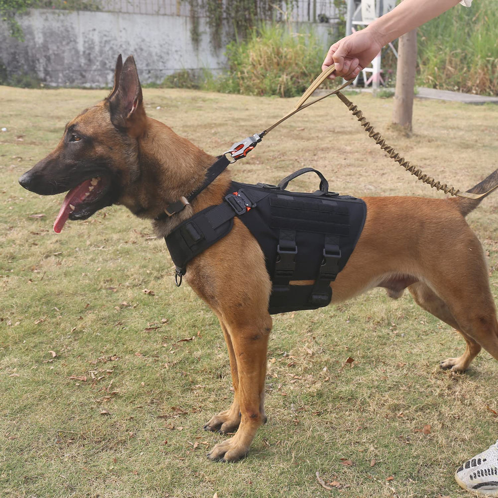 GN3 Tactical Dog Harness with 6X Buckle,Dog Molle Vest with Handle,3/4 Body Coverage,Hook and Loop Panel for ID Patch,No Pulling Front Clip (XL (32-39 Girth), Black)