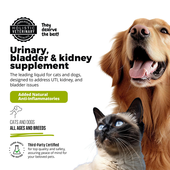 , Cat & Dog Urinary Tract Treatment, Bladder & Kidney Support for Dogs and Cats, Powerful Yet Gentle Pet Care, with Liquid Cranberry & Glucosamine, Chicken Flavor, 6 oz Bottle, 1 Pack