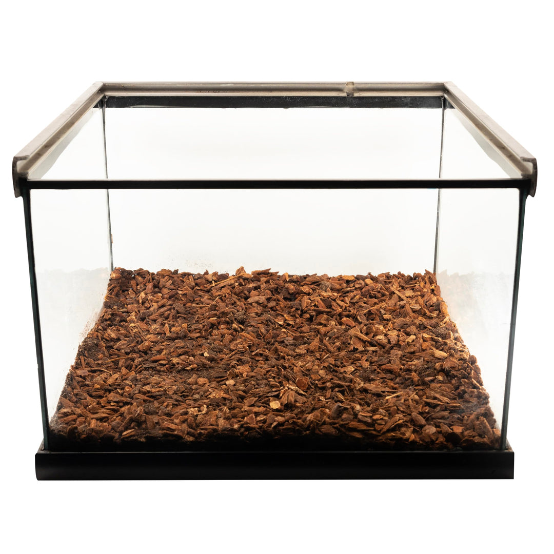 Premium Repti Bark