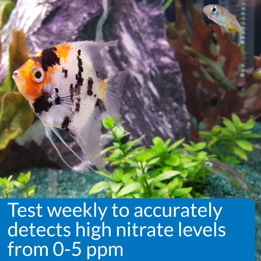NITRITE TEST KIT 180-Test Freshwater and Saltwater Aquarium Test Kit