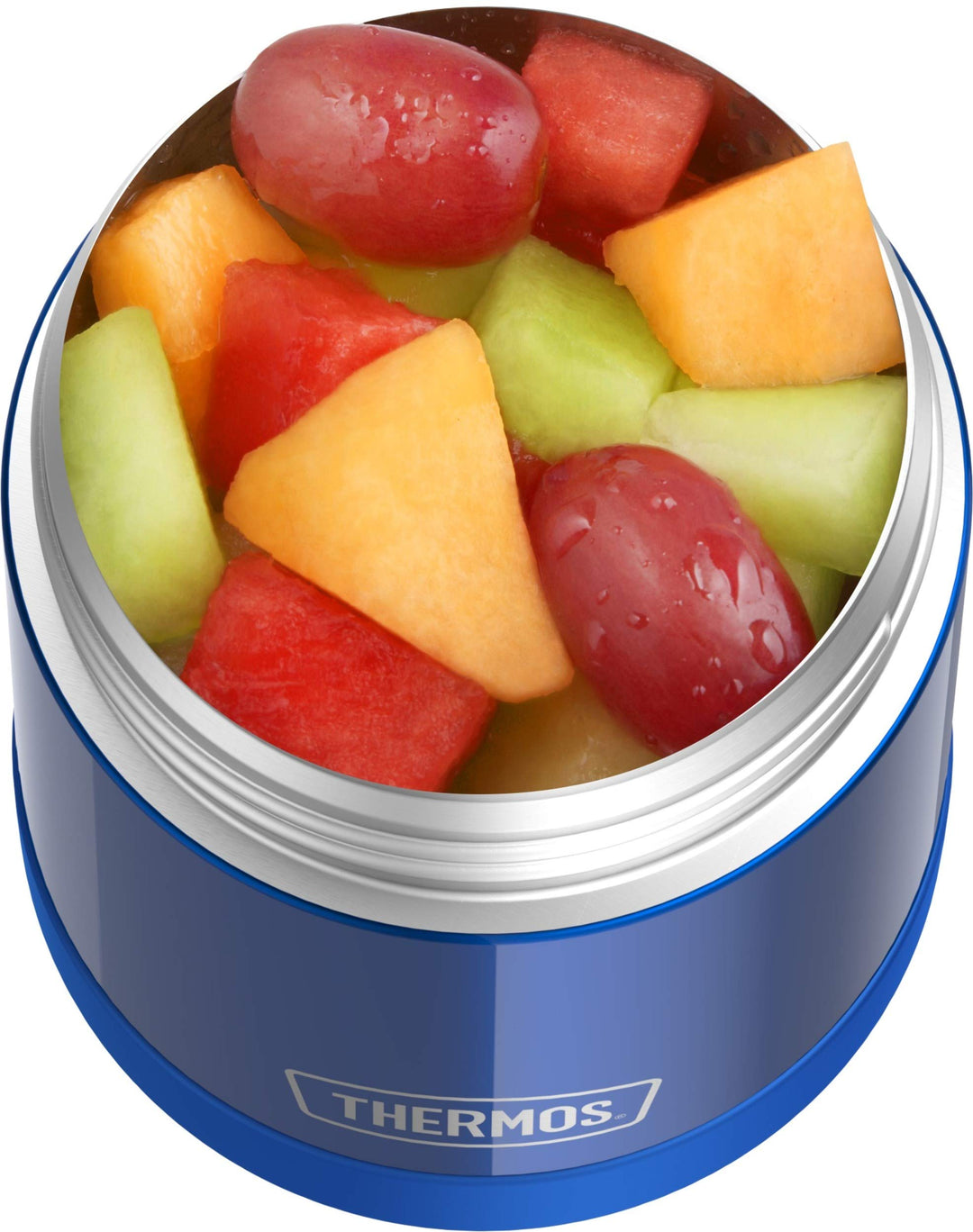 FUNTAINER 10 Ounce Stainless Steel Vacuum Insulated Kids Food Jar, Blue