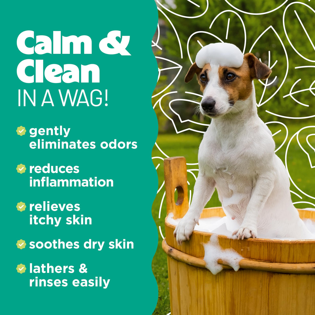 Oatmeal Dog Shampoo for Itchy Skin Relief, Soothing Medicated Itch Relief, with Vitamin E, Puppy Safe, Made in USA, Cat Friendly, 20 oz.