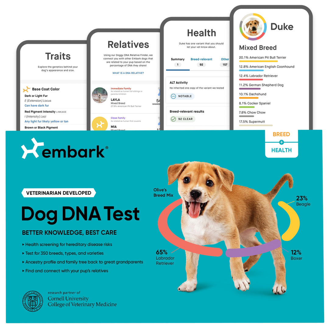 Breed & Health Kit - Dog DNA Test - Discover Breed, Ancestry, Relative Finder, Genetic Health, Traits, COI