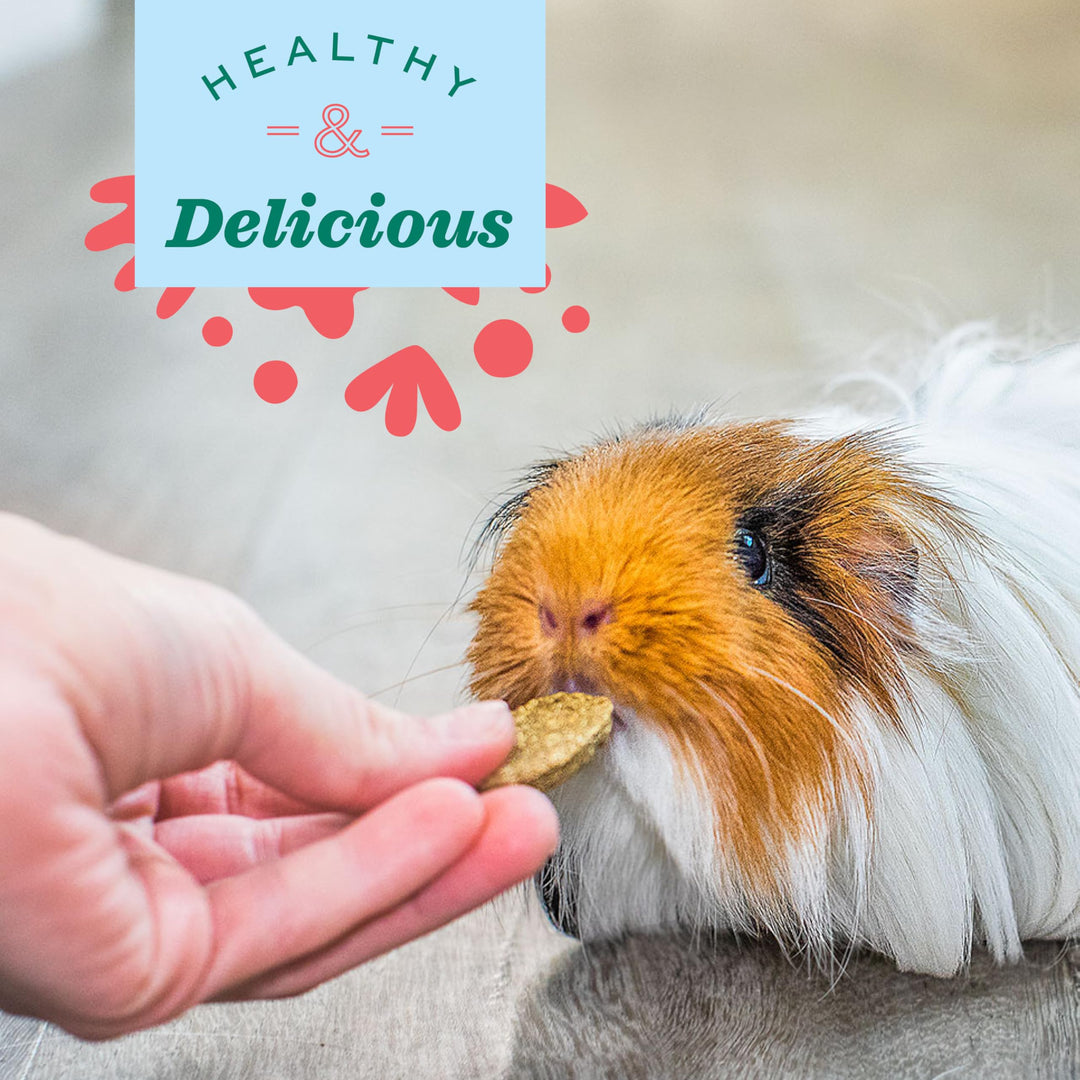 Animal Health Natural Science Digestive Support, High Fiber Supplement for Rabbit & Guinea Pig, Made with Timothy Hay, Includes Chicory Root, Ginger Root, Chamomile, Made in USA, 4.2 oz Bag
