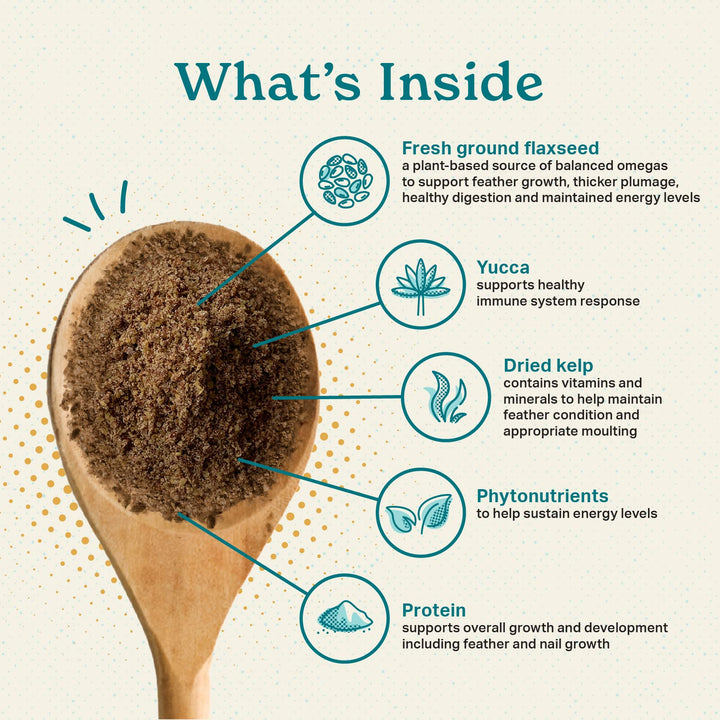 Avian Color & Shine Superfood Supplement Powder for Captive Birds - Flaxseed, Yucca, Kelp, Phytonutrients & Protein - Supports Energy, Plumage, Digestive & Immune Health - 3.5oz