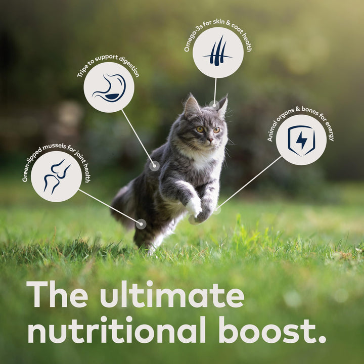 Peak Air-Dried Cat Food – Lamb - All Natural, High Protein, Grain Free, Limited Ingredient w/ Superfoods (14oz)