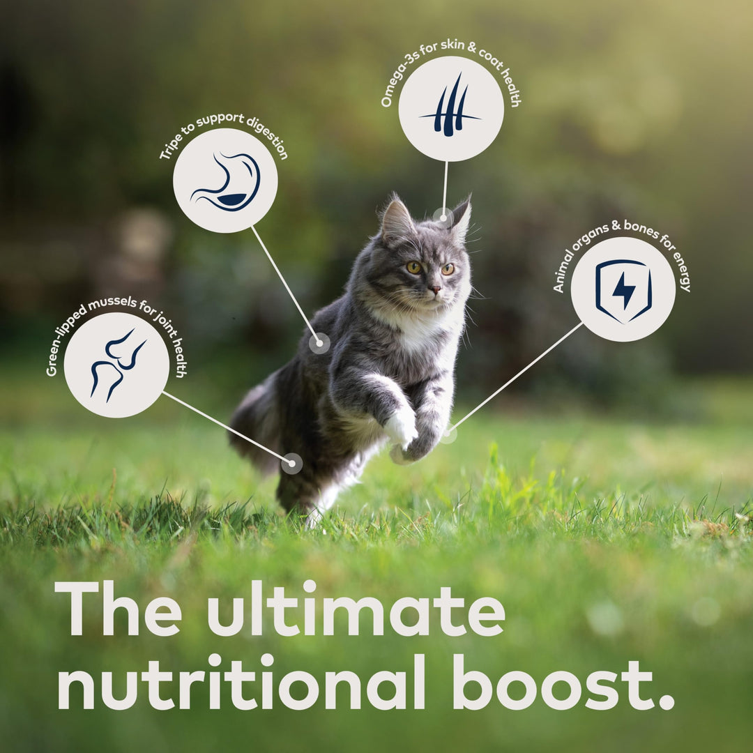 Peak Air-Dried Cat Food – Venison - All Natural, High Protein, Grain Free, Limited Ingredient w/ Superfoods (14oz)