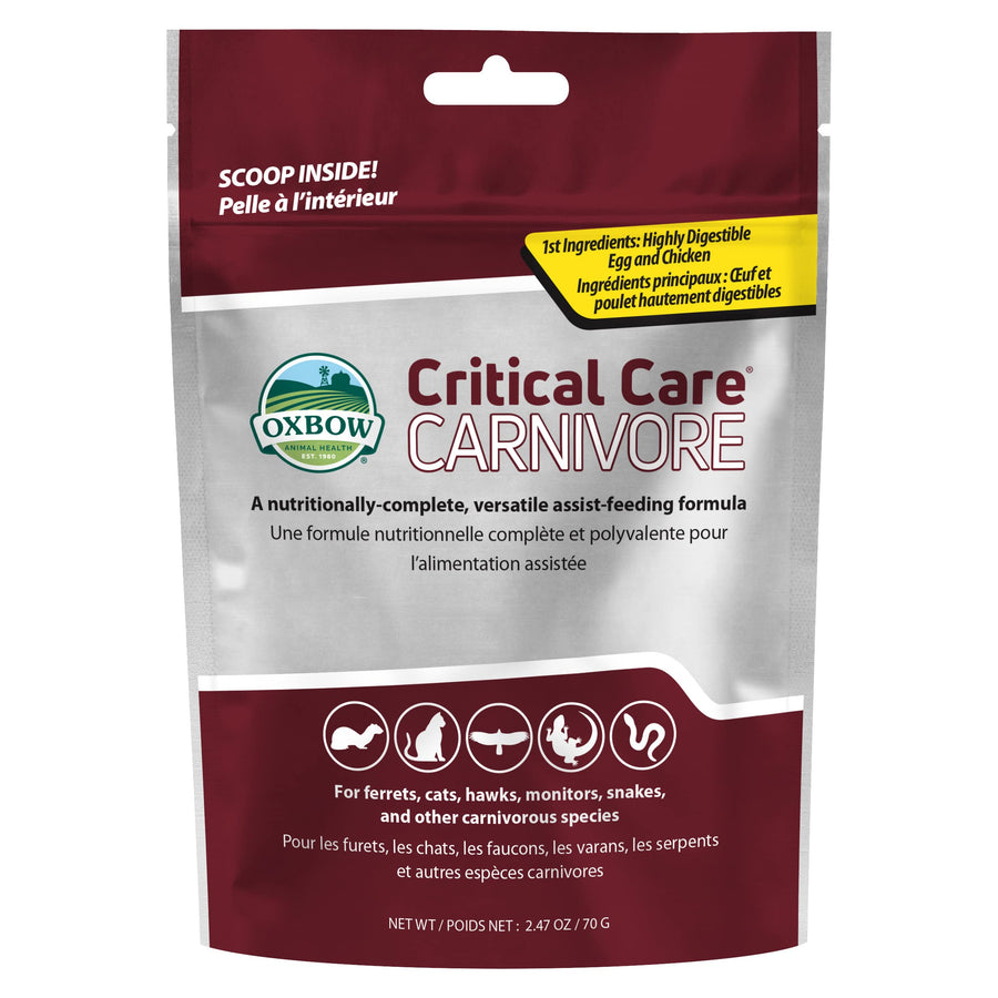 Critical Care Carnivore, Made with Whole Egg & Dried Chicken, Assist Feeding Formula for Carnivores, Cat Supplements, Ferret Food Recovery, Small Animal Pet Products, Made in USA, 70 Gram Bag