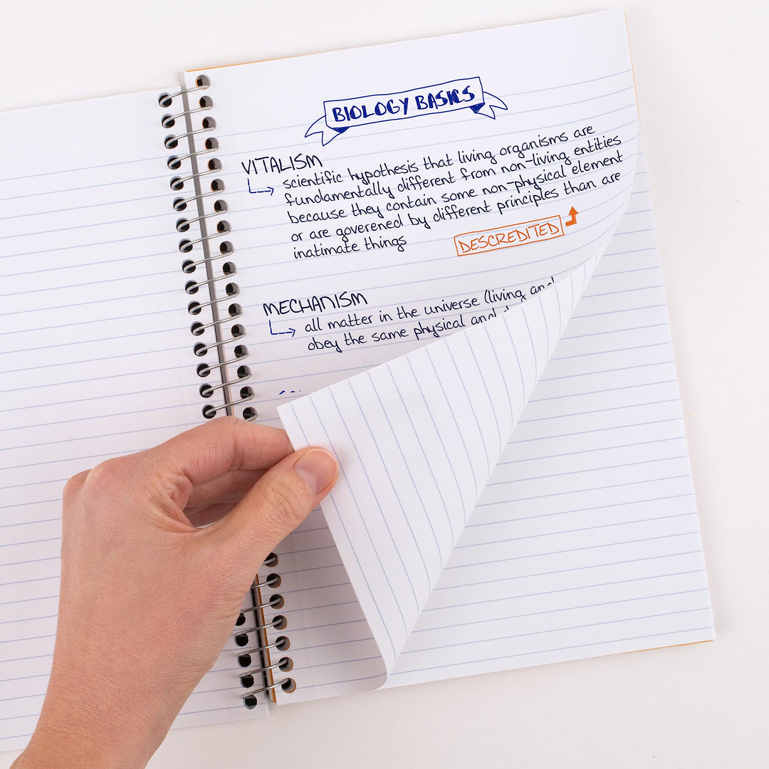 Small Spiral Notebook, 2 Subject, College Ruled Paper, 9-1/2 x 6, 100 Sheets, Black (72285)