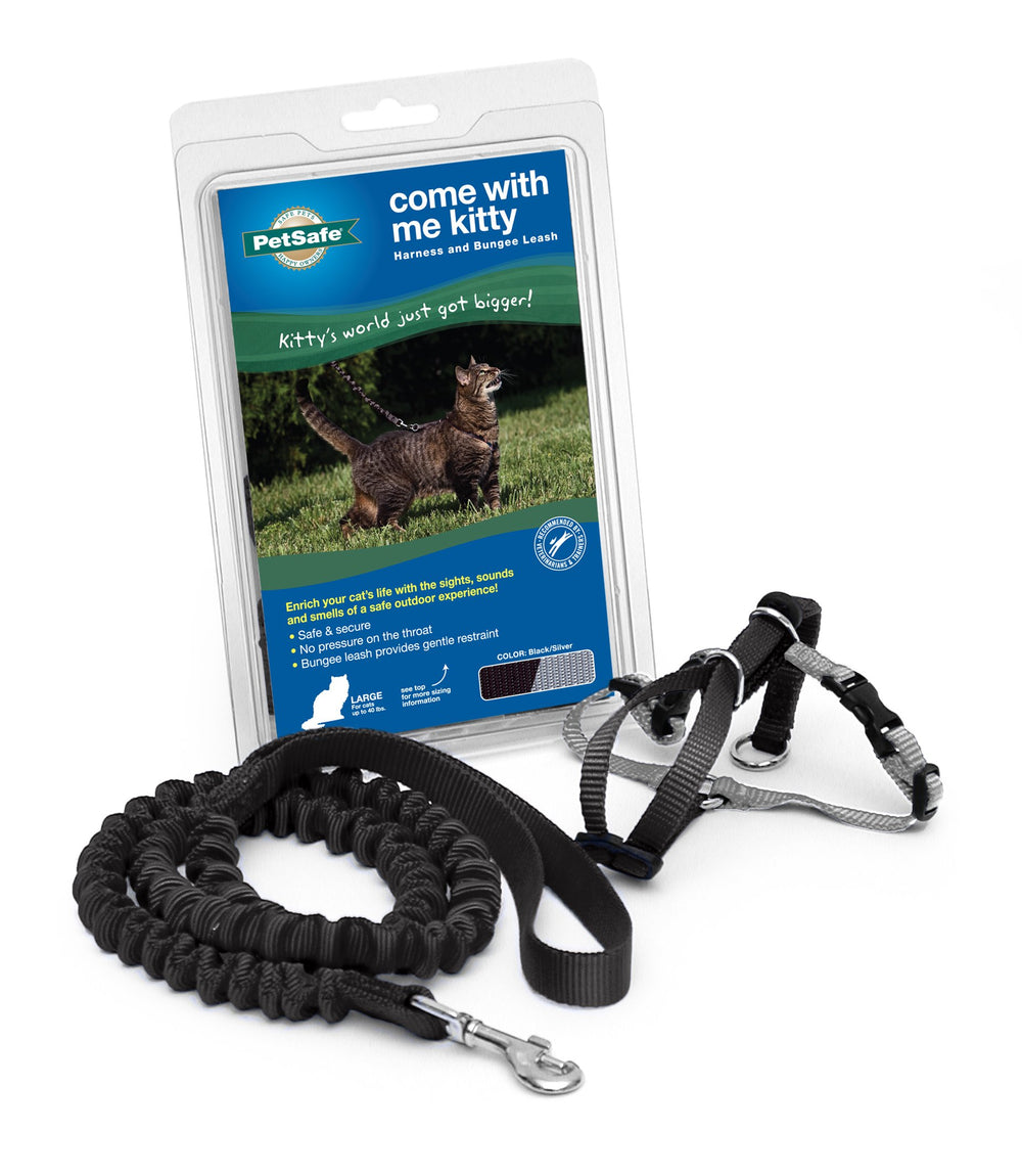 Come with Me Kitty Harness and Bungee Leash, Large, Black