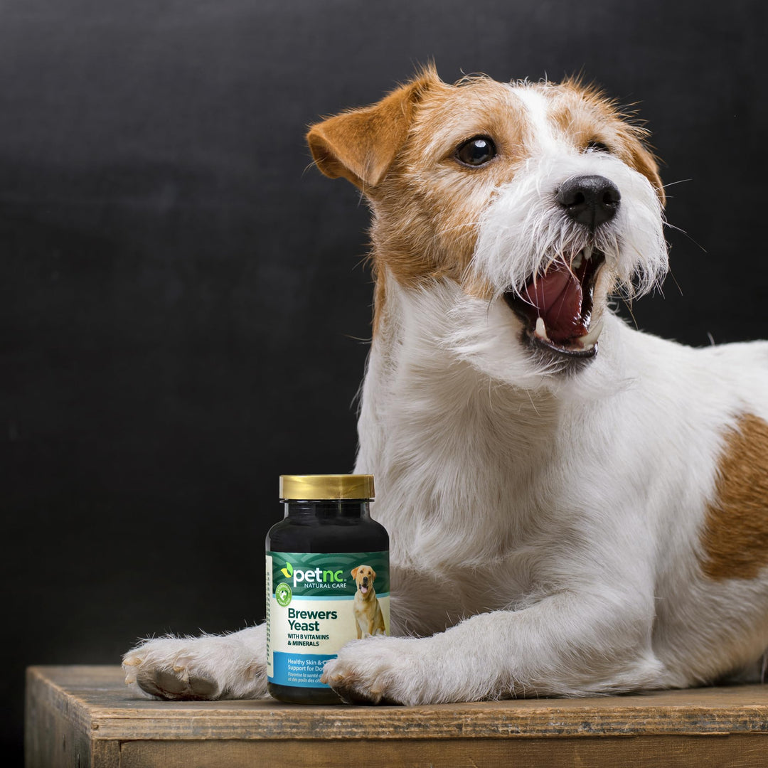 Brewers Yeast Chewables for Dogs, 250 Count