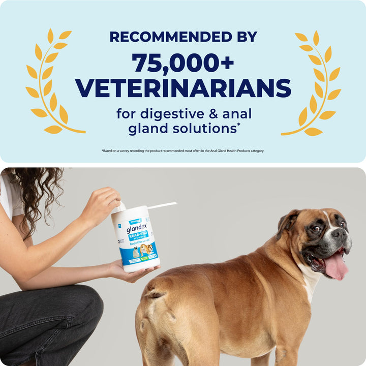 Labs Glandex Dog Wipes for Pets Cleansing & Deodorizing Anal Gland Hygienic Dog & Cat Wipes with Vitamin E, Skin Conditioners and Aloe (75ct)