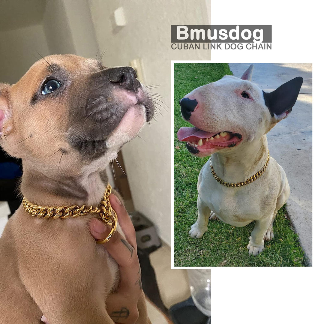 Dog Chain Collar Collar Gold 10MM Cuban Link Dog Collar Stainless Steel Metal Silp Chain Collar Heavy Duty Chew Proof Walking (14)