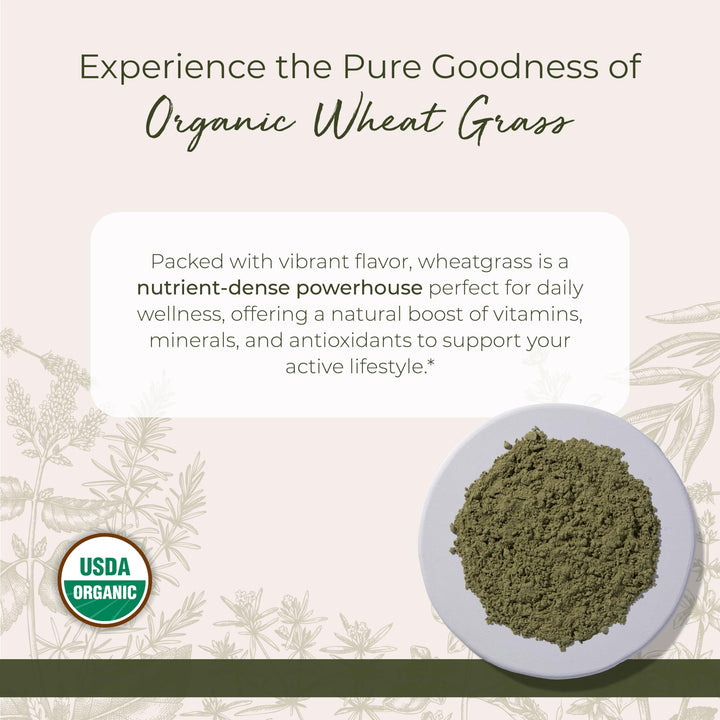 Organic Wheat Grass Powder - Natural Superfood for Tea, Juice, & Water, Pure Wheatgrass, Source of Nutrients, Certified Kosher, Non-GMO - Bulk 1 lb Bag