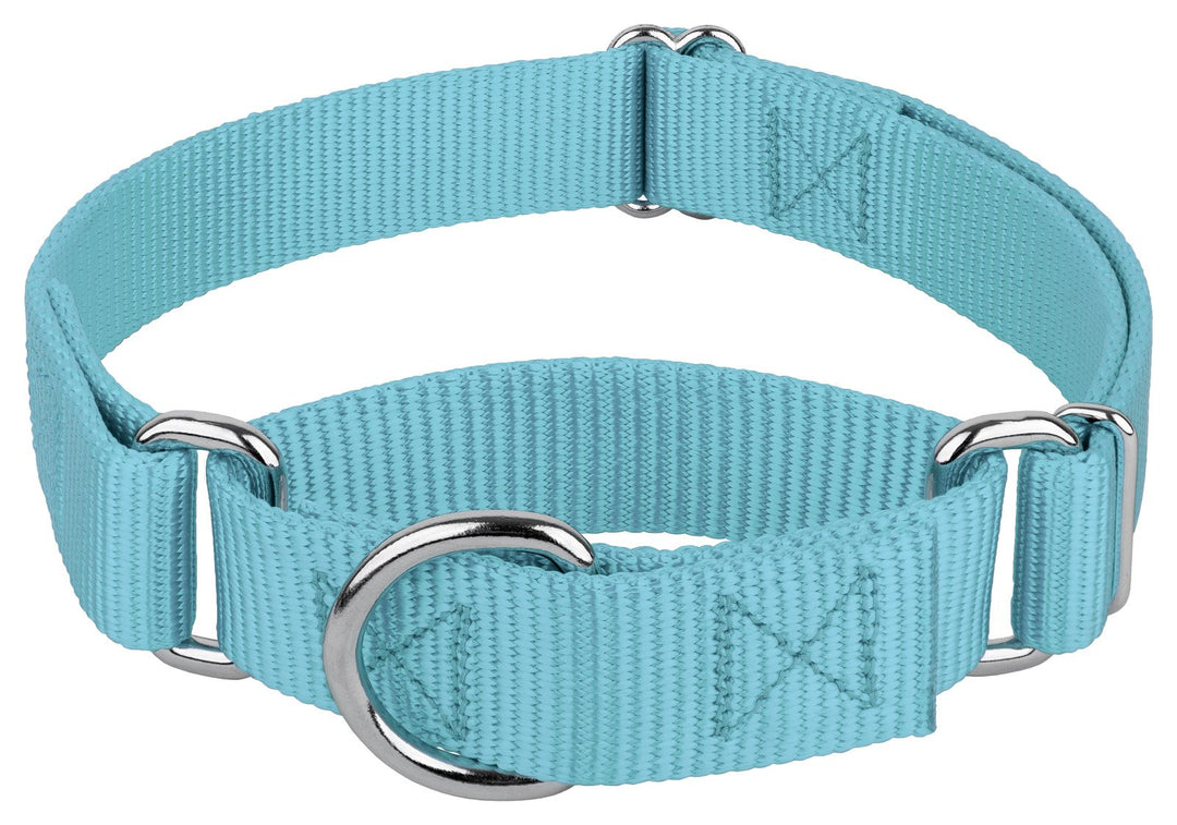 Country Brook Petz Martingale Dog Collar - Heavy-Duty Training Collar with No Buckle - Service Dog Collar for All Pups - Vibrant, Colorful Collection (Ocean Blue, 1 Inch, Large)