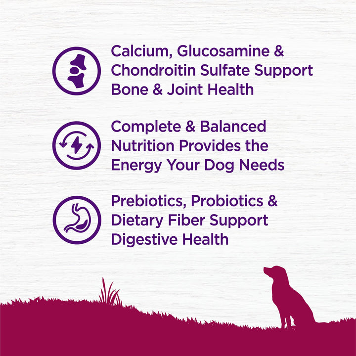 Complete Health Senior Dry Dog Food, Small Breed, Wholesome Grains, Natural, Age Advantage Turkey & Peas Recipe, (4-Pound Bag)